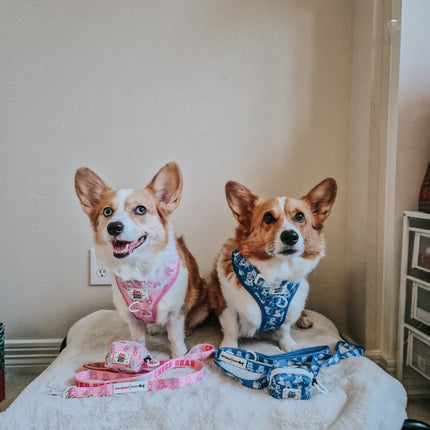 Dog Adjustable Harness - Care Bears™ Grumpy Bear