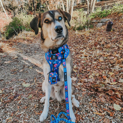 Dog Adjustable Harness - Blue's Clues™
