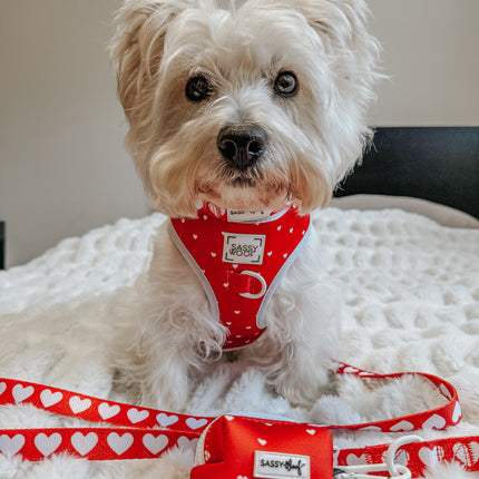 Dog Adjustable Harness - Little Love