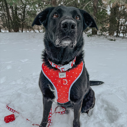 Dog Adjustable Harness - Little Love