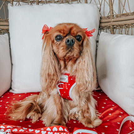 Dog Adjustable Harness - Little Love
