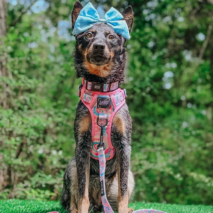 Dog Step-in Harness - Good Vibes