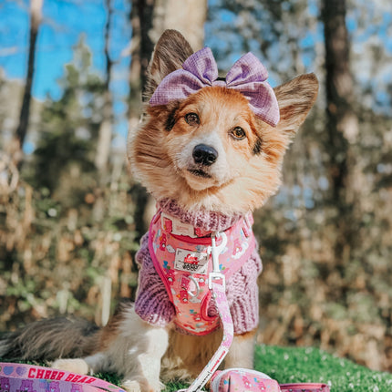 Dog Adjustable Harness - Care Bears™ Cheer Bear