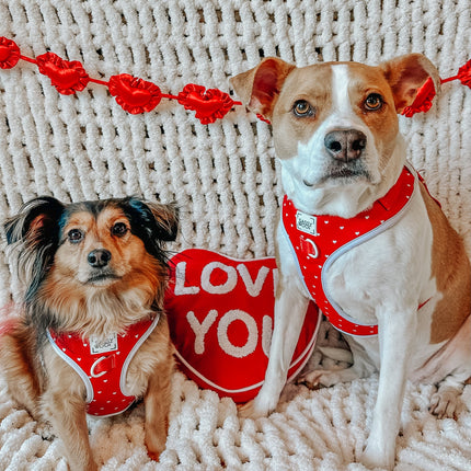 Dog Adjustable Harness - Little Love
