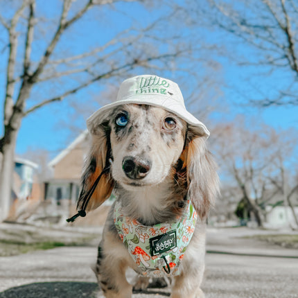 Dog Bucket Hat - Little Thing