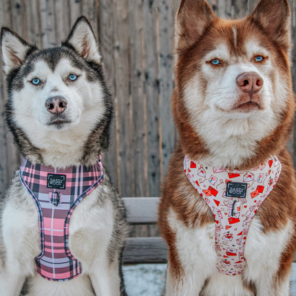 Dog Adjustable Harness - P.S. I Woof You