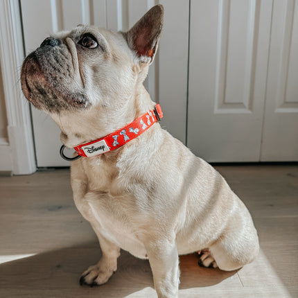 Dog Collar - Disney's 101 Dalmatians