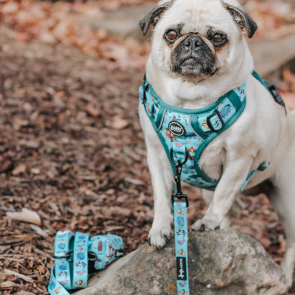 Dog Step-in Harness - Disney's Winnie the Pooh