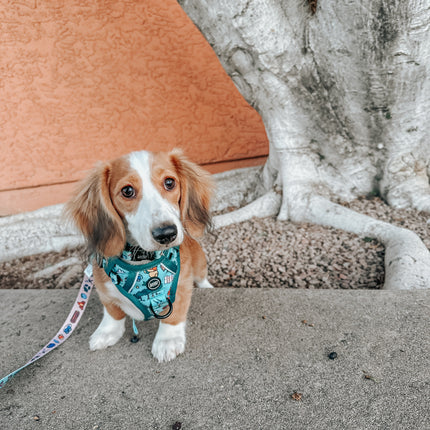 Dog Step-in Harness - Disney's Winnie the Pooh