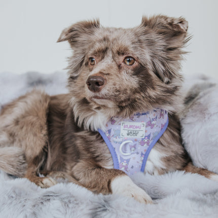 Dog Adjustable Harness - Kuromi™