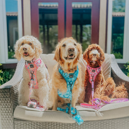 Dog Step-in Harness - Tropical Tides