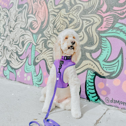 Dog Adjustable Harness - Neon Purple