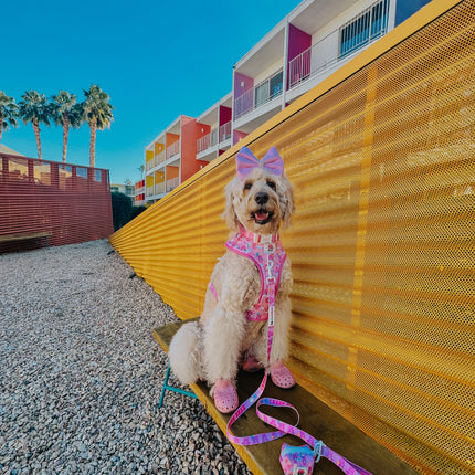 Dog Adjustable Harness - Care Bears™ Cheer Bear