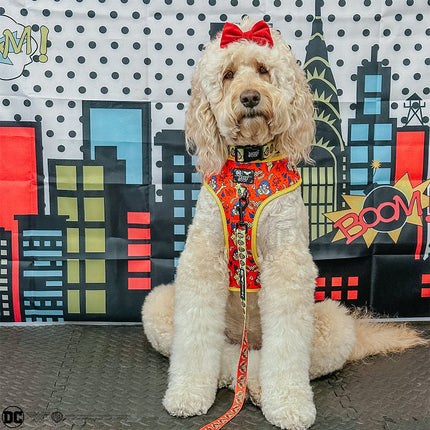 Dog Adjustable Harness - Wonder Woman™