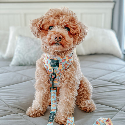 Dog Adjustable Harness - Good Duck, Babe!
