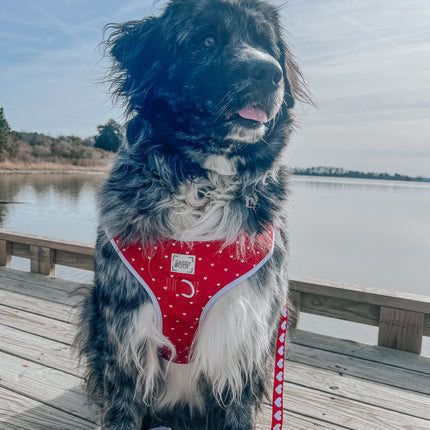 Dog Adjustable Harness - Little Love