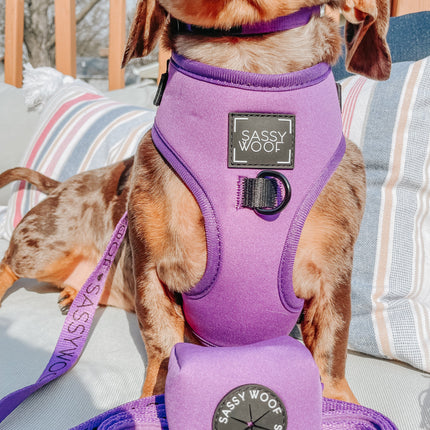 Dog Adjustable Harness - Neon Purple
