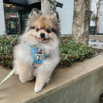 Dog Adjustable Harness - Patch Perfect