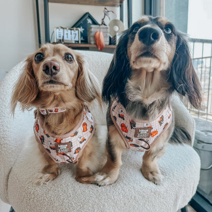 Dog Collar - Weens Club