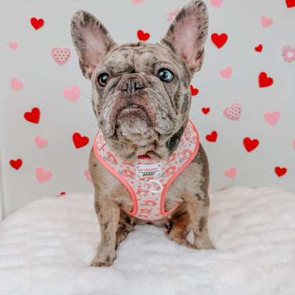 Dog Adjustable Harness - My Melody™
