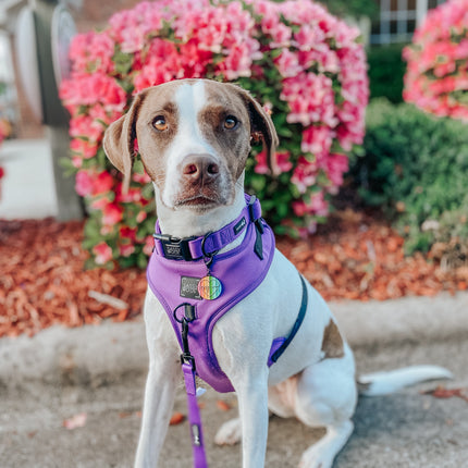Dog Adjustable Harness - Neon Purple