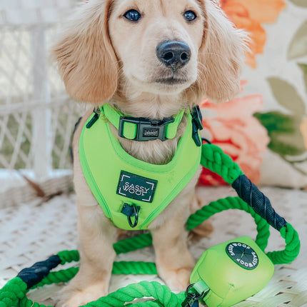 Dog Rope Leash - Neon Green
