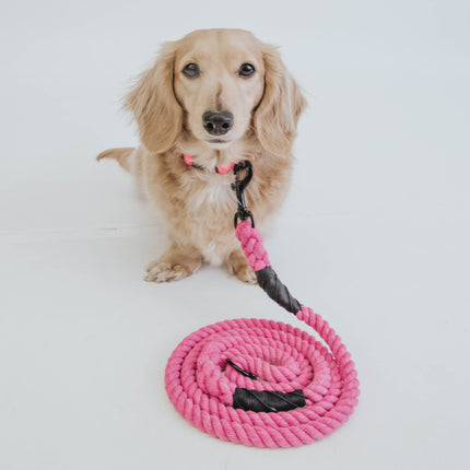 Dog Rope Leash - Neon Pink