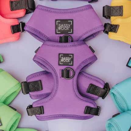 Dog Adjustable Harness - Neon Purple