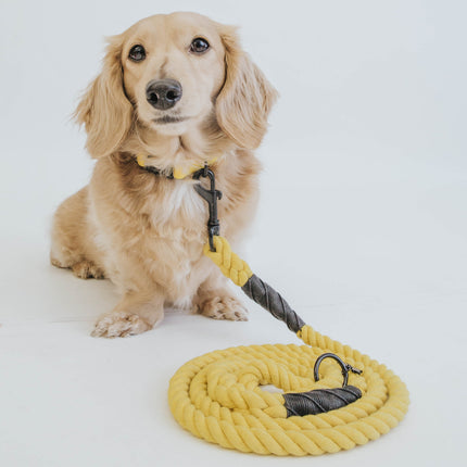 Dog Rope Leash - Neon Yellow