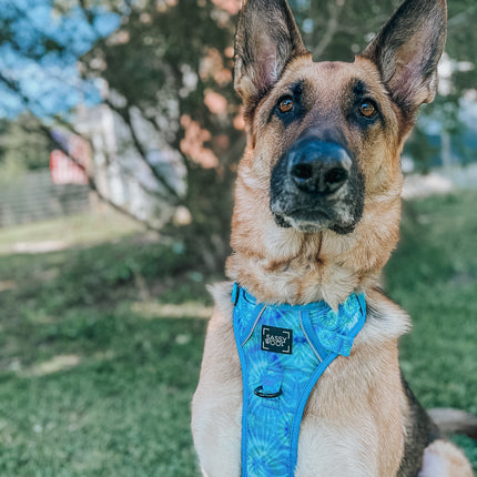 Dog Step-in Harness - Tropical Tides