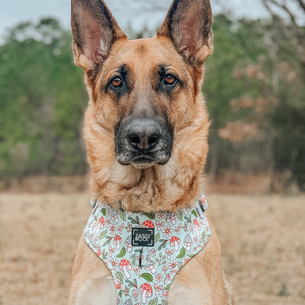 Dog Adjustable Harness - Shrooms & Blooms