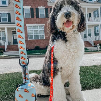 Dog Collar - One Hot Pupperoni