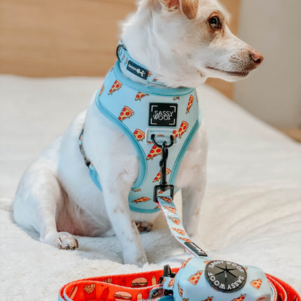 Dog Collar - One Hot Pupperoni