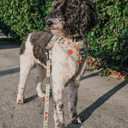 Dog Adjustable Harness - Feeling Vine
