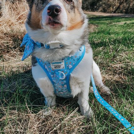 Dog Adjustable Harness - Cinnamoroll™
