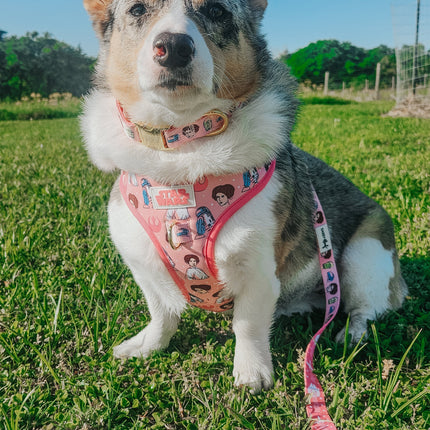 Dog Adjustable Harness - STAR WARS™ Princess Leia
