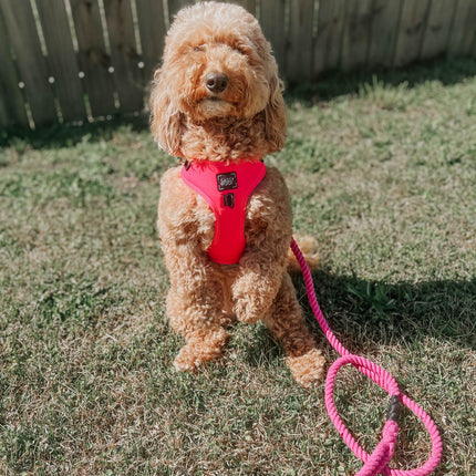 Dog Rope Leash - Neon Pink