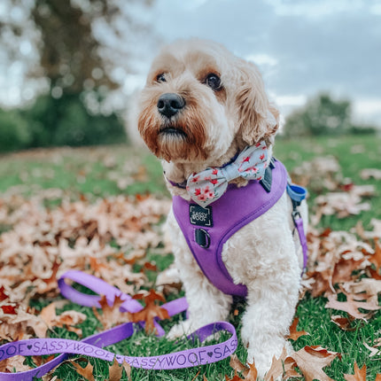 Dog Adjustable Harness - Neon Purple