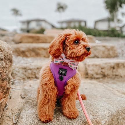 Dog Adjustable Harness - Neon Purple