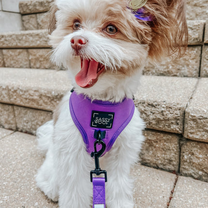 Dog Adjustable Harness - Neon Purple