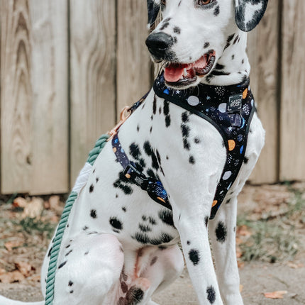 Dog Rope Leash - Amazon