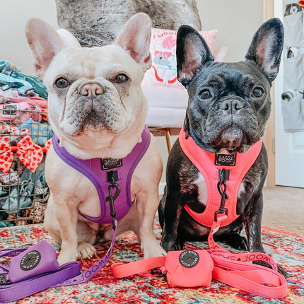 Dog Adjustable Harness - Neon Purple