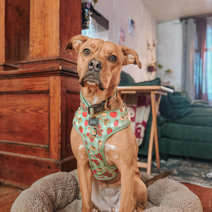 Dog Adjustable Harness - Feeling Vine