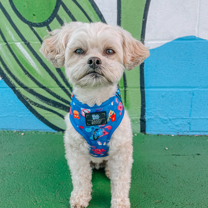 Dog Adjustable Harness - Blue's Clues™
