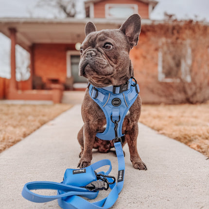 Dog Step-in Harness - Hydrangea