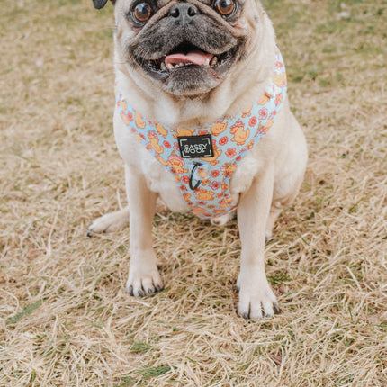Dog Adjustable Harness - Good Duck, Babe!