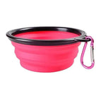 Pink / 1000ml (17.5x13x7cm)