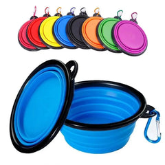 Collection image for: Dog Bowls