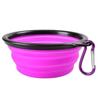 Purple / 1000ml (17.5x13x7cm)