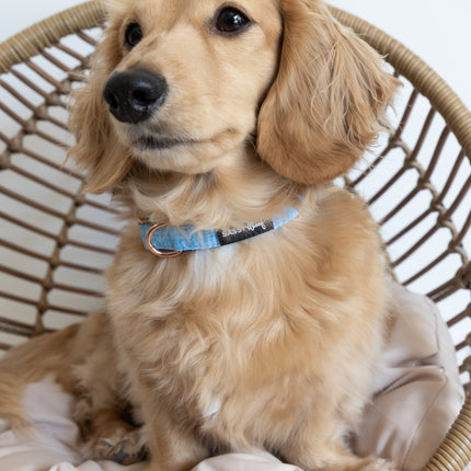 Dog Collar - Blumond